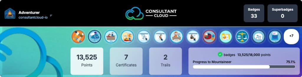 Trailblazer profile, Consultant Cloud
